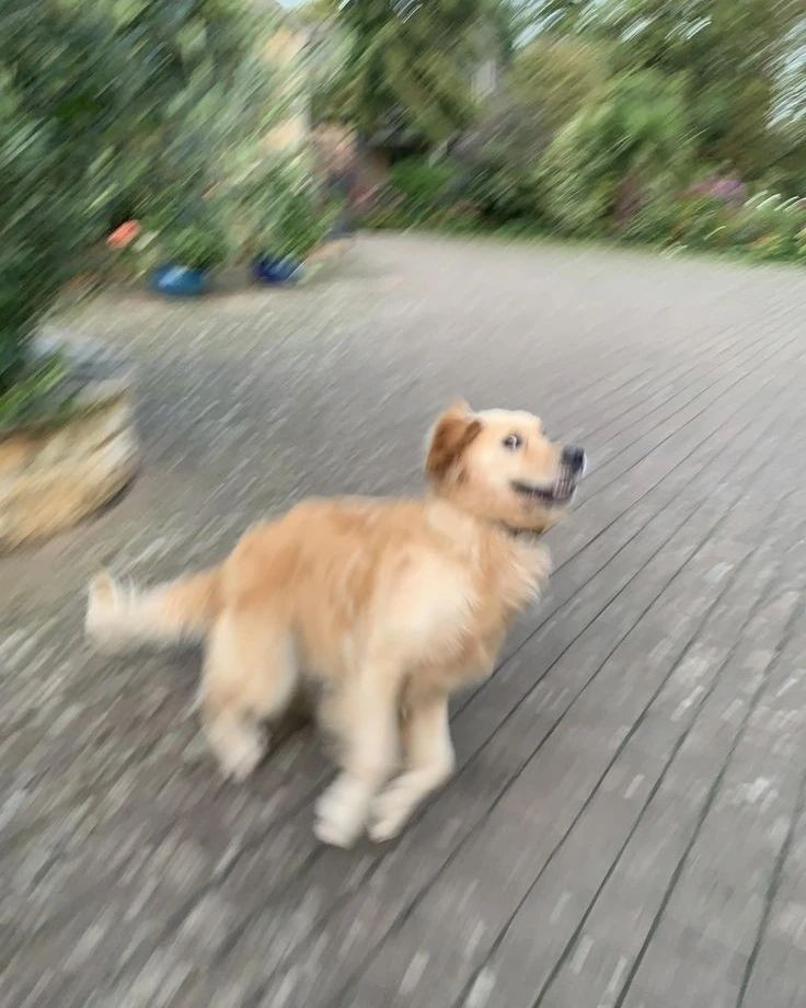 周五下班的我：有什么事下周再说！溜啦 