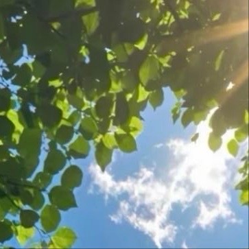 每日一善 善是一种自然的流露,没有一点造作,没有一点企求,像水一样一往无前地流动