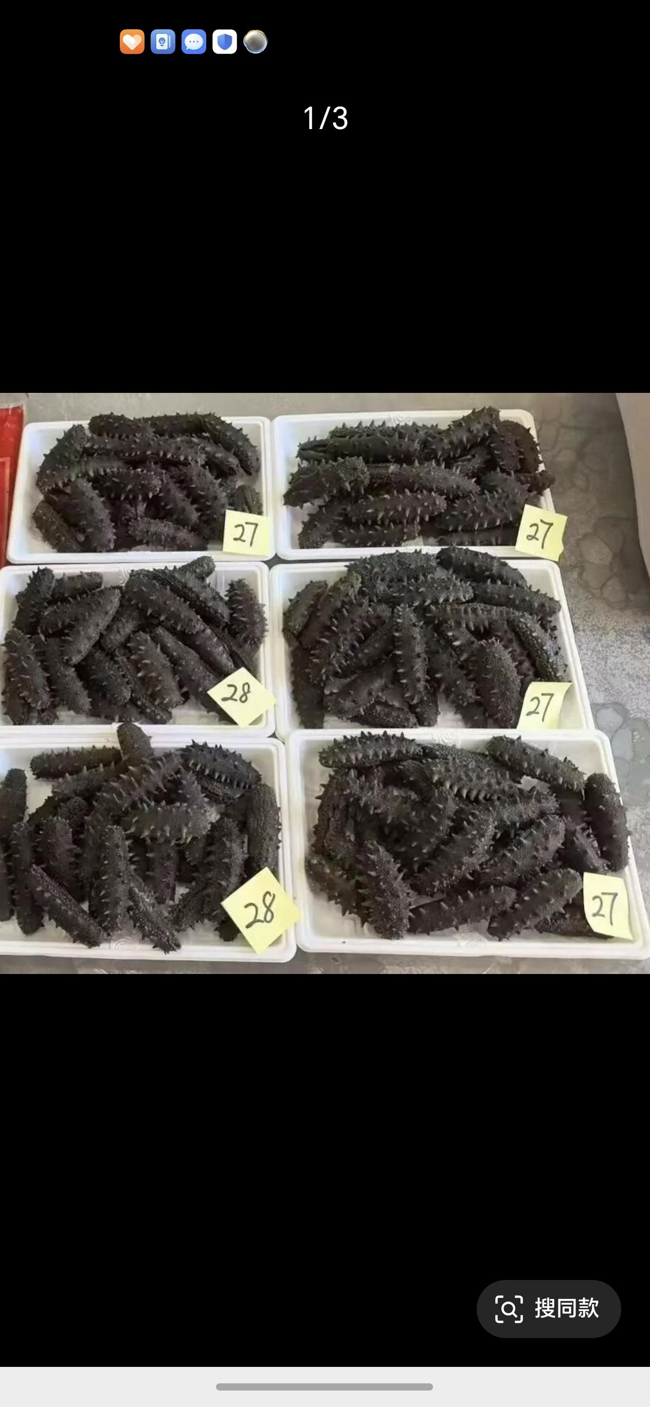 海参的核心营养价值有哪些？
 
海参素有“海底软黄金”之称，能在亿万年自然更迭中