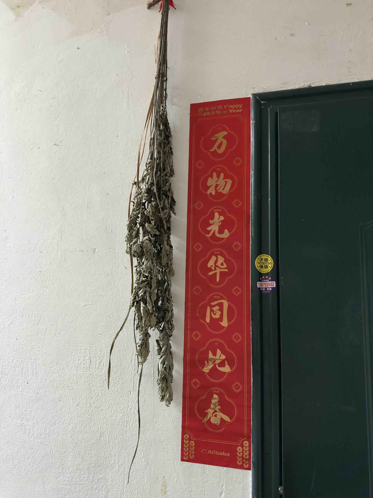 我家大门端午节悬挂的菖蒲和艾草都成这样了！基本上已风干。我凑近鼻子闻了闻，一股清