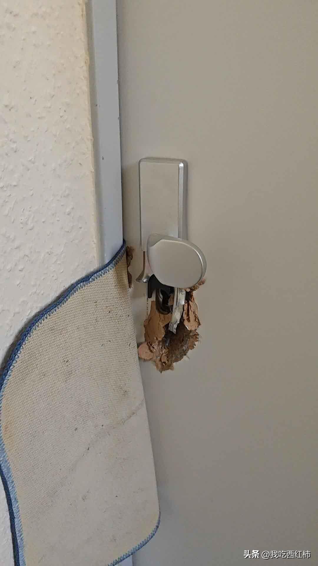 德国经历的第二次入室盗窃
地点：科隆闹市区
时间：周五上午10点到下午2点（估计