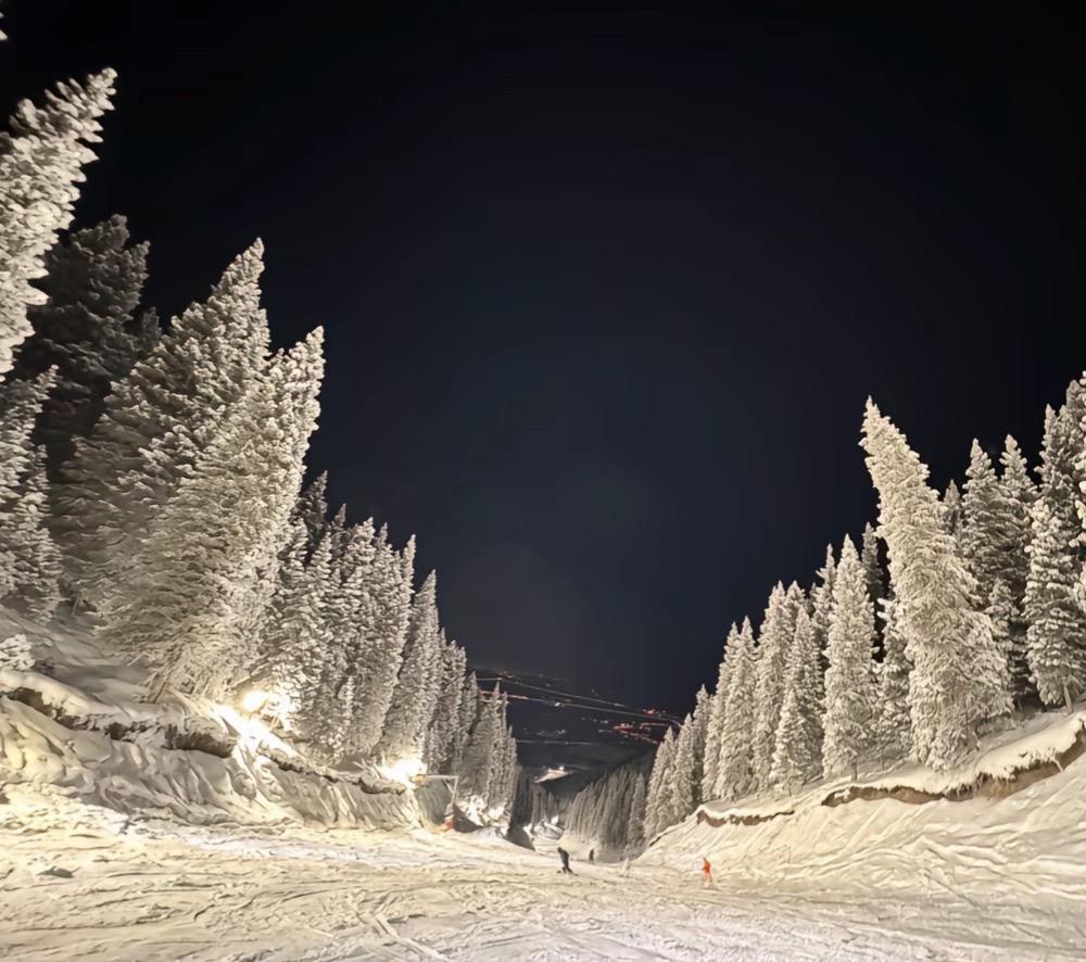 我没什么远大理想 我只想带着伯牙绝弦 回家给我爱的人做饭 🎄