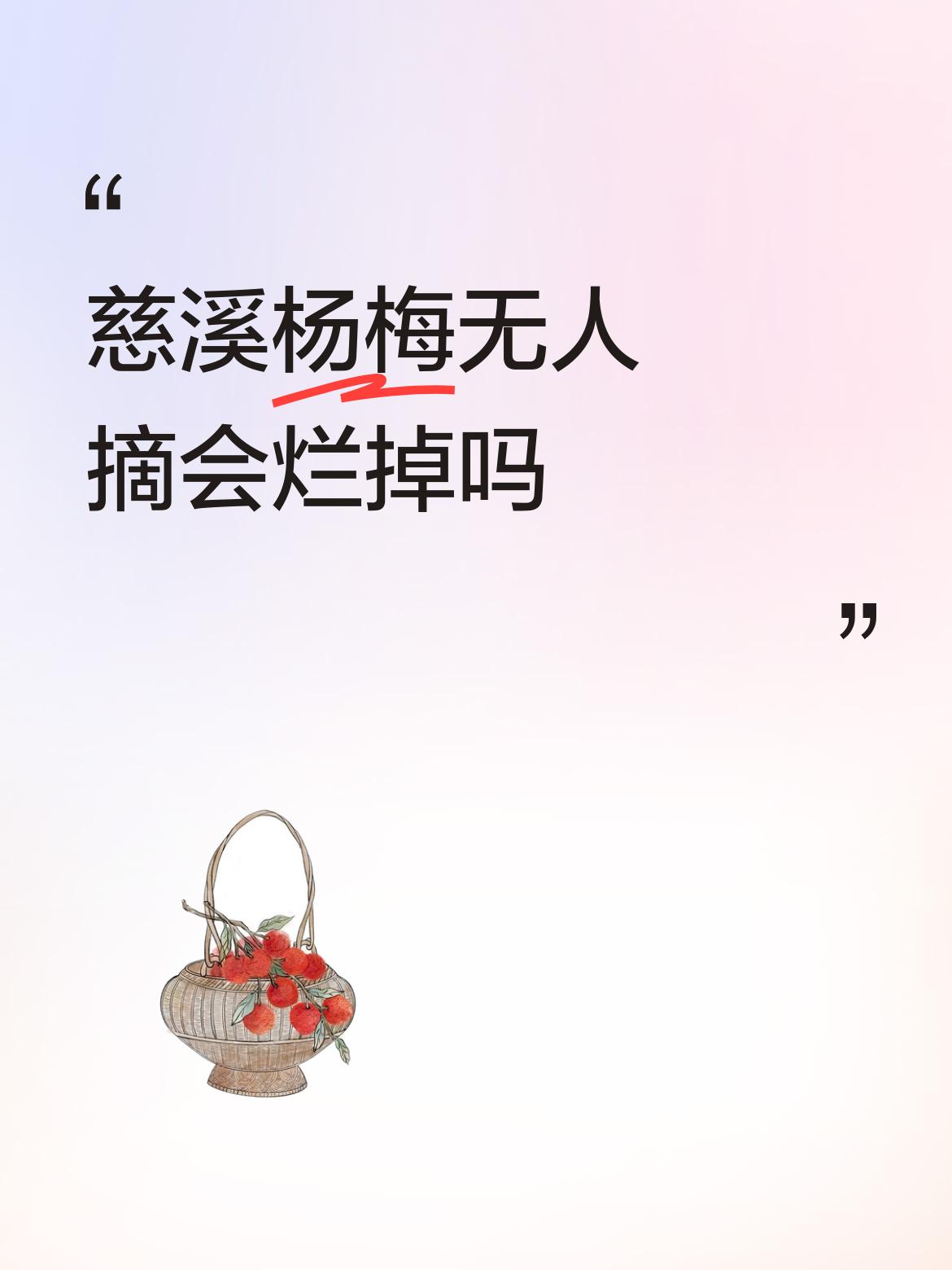 慈溪杨梅无人摘会烂掉吗现在农村种杨梅有点类似竹笋。有的有人照料有人收拾，但有的家