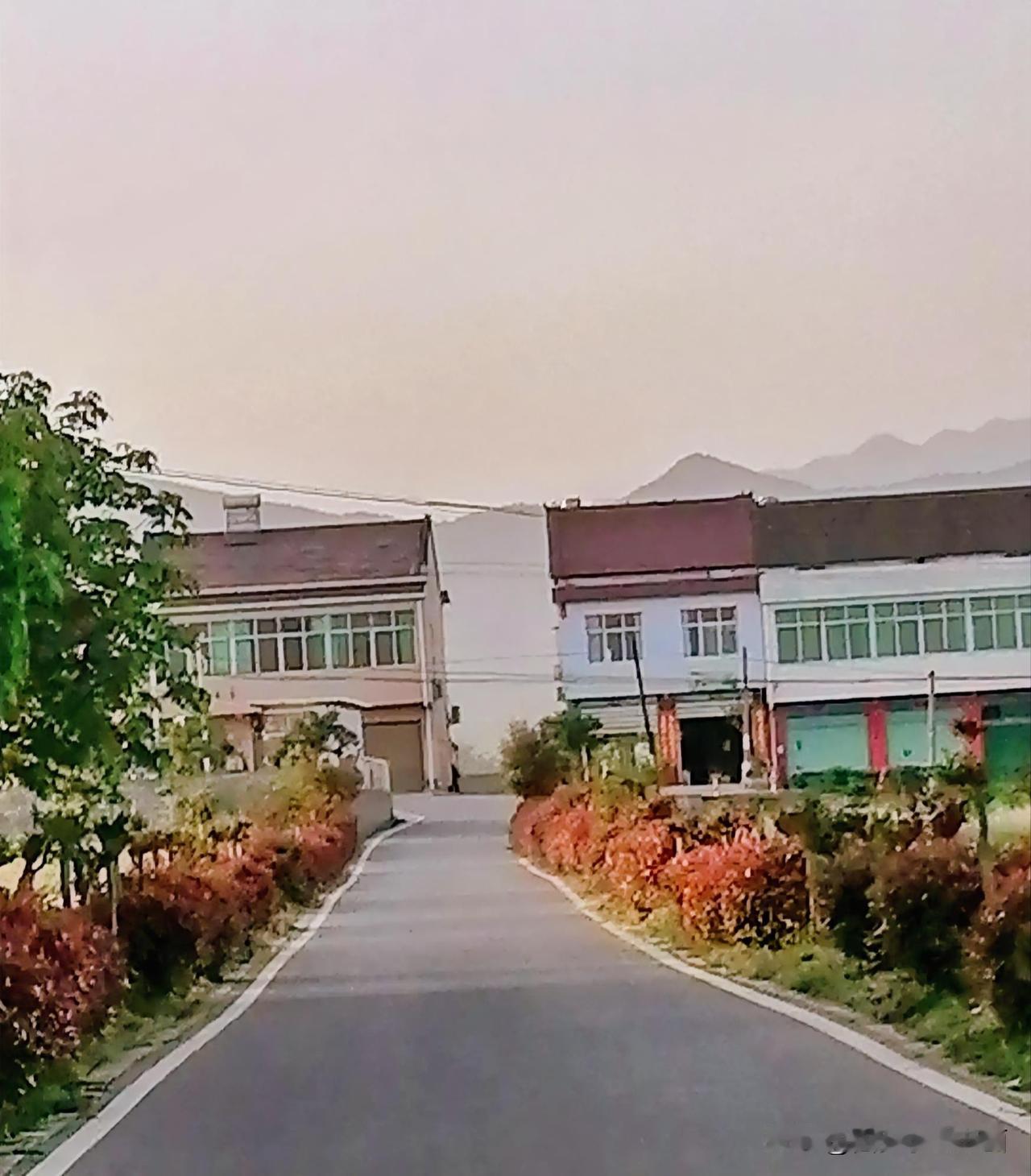 《汉中城固乡间小路就是美（李林摄）》
