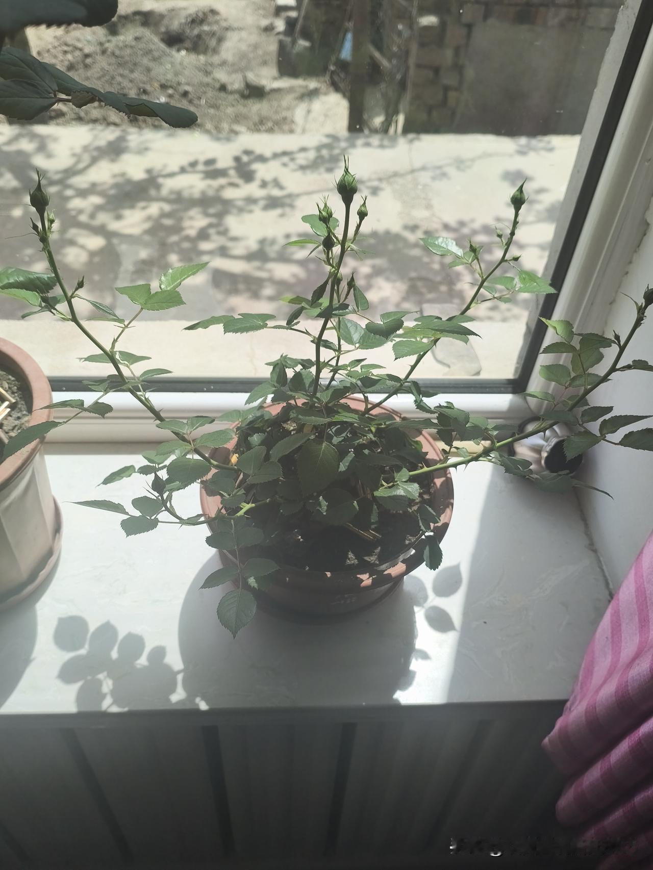 突然发现自己成了第三者，先别慌。要是一开始不知情，像那个女孩发现男友行踪神秘，一
