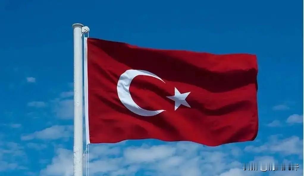 这次土耳其算是彻底打错了算盘！以为还能像当年卡我们要道那样，逼着中国企业低头。结