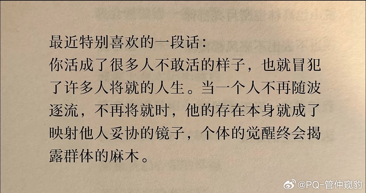 活成许多人不敢活的样子也就冒犯了许多人将就的人生当一个人不再随波逐流不再将就时他