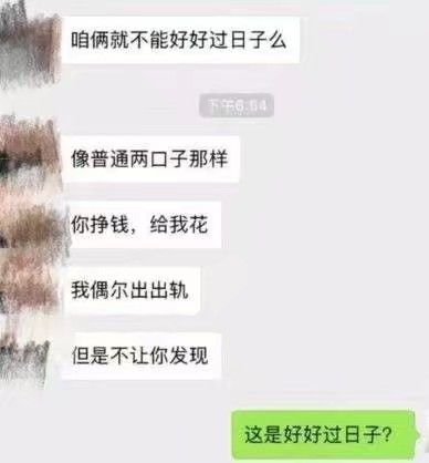 你真的是一只穿胸罩的老母猪，一套又一套 ​​​