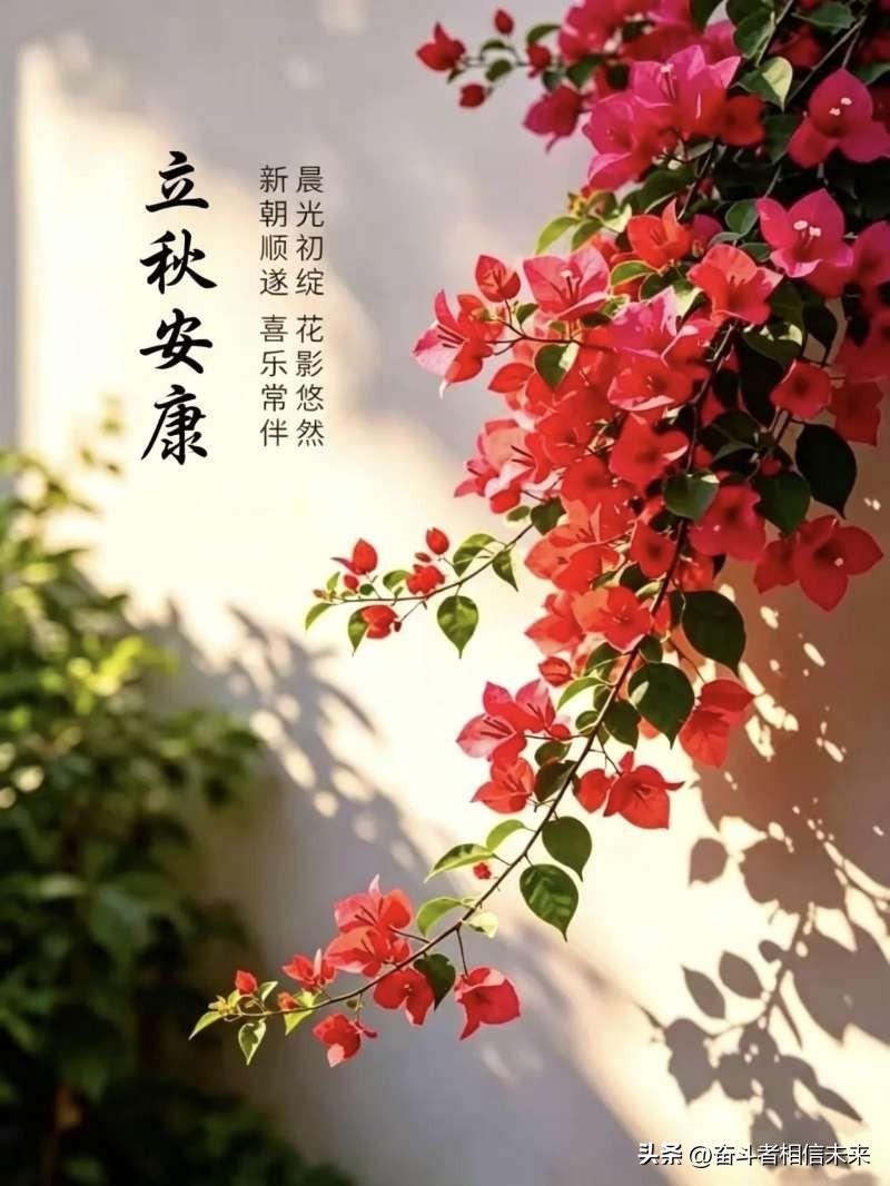 人生感悟（394）：岁月不言不语，催我写下秋日的私语！

今日立秋，夏天依依过去