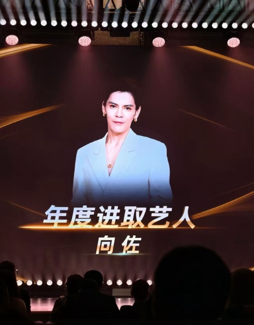 向佐谈斩获“年度进取艺人”：抽象也是一种“进取”，家人的鼓励是工作的全部意义