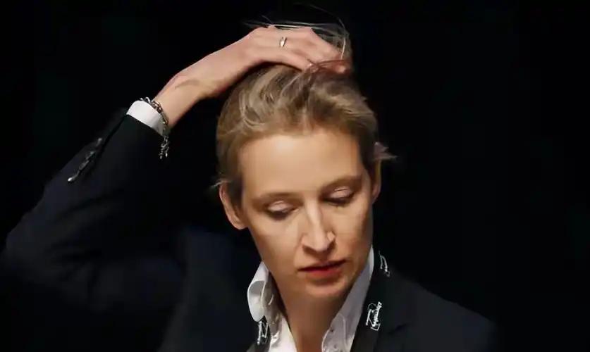 前阵子，跟前东德那边的朋友唠嗑，人家张口就是魏德尔是"另一条路子"！

全球化愣