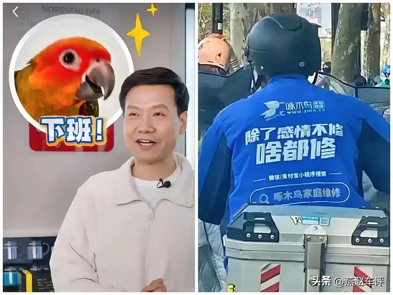 往年的3.15晚会，今年的3.15晚会，真是很震惊，你会突然顿悟大家能活到现在，