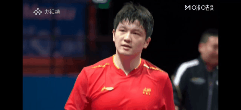 樊振东庆祝动图来了～ 