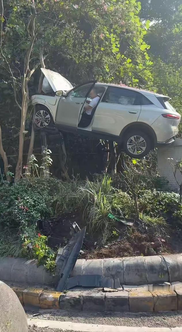 大哥是怎么开上去的....车评精选汽车黑科技汽场全开