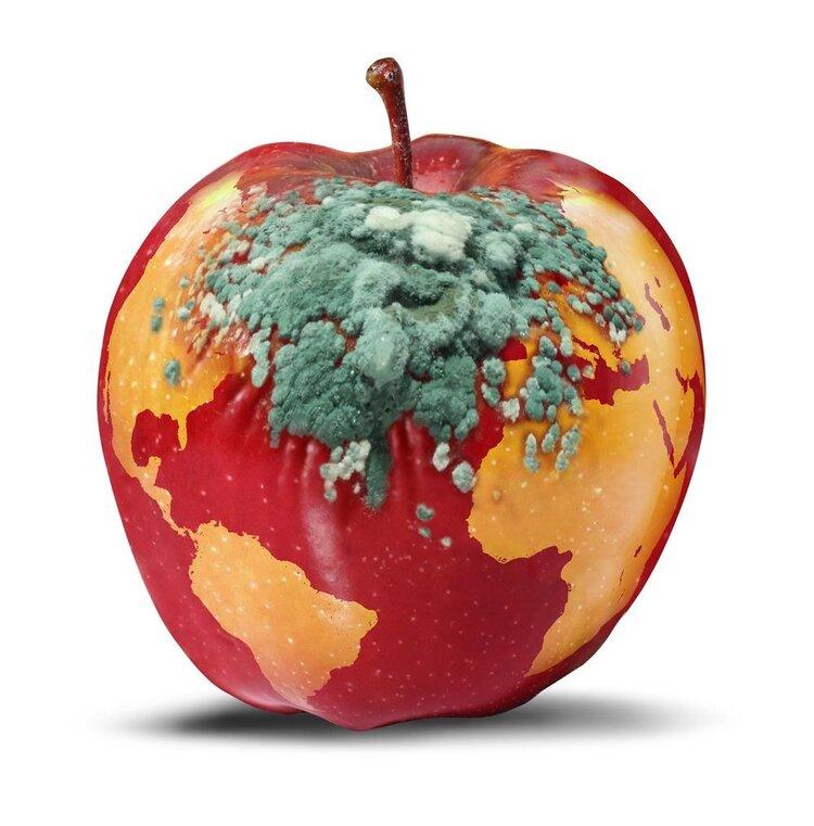 家里这3种食物，发霉一点也别
吃，整个都得扔！
很多人觉得：发霉切掉就行，剩下的