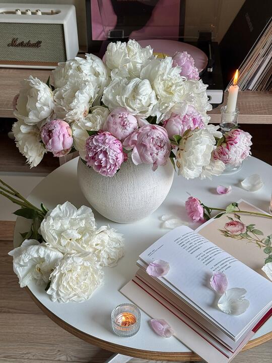 ғʟᴏᴡᴇʀ🌷｜芍药沙拉🌸杨妃出浴粉白混色插花
