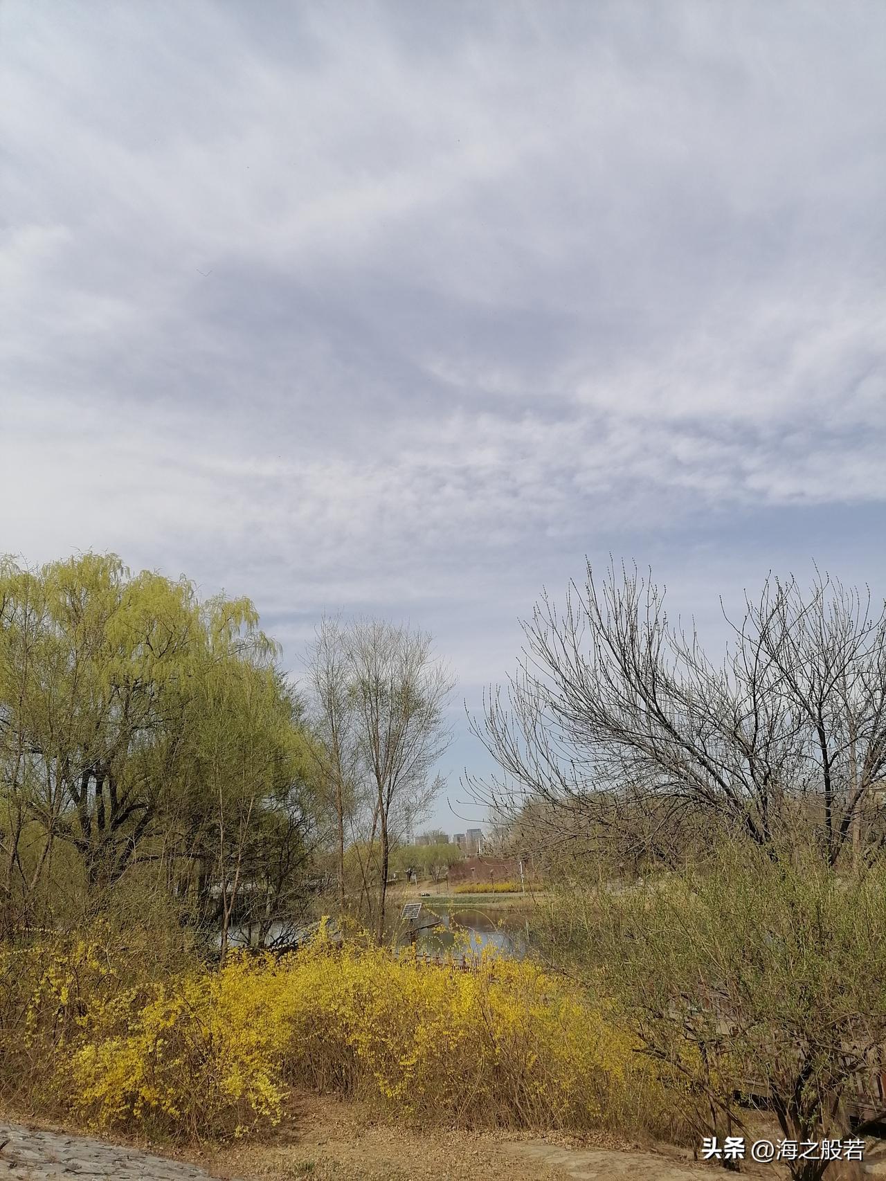 看天气变化，懂冷暖人间。

3月28日的北京，白天多云转阴，大部地区有阵雨，阵风