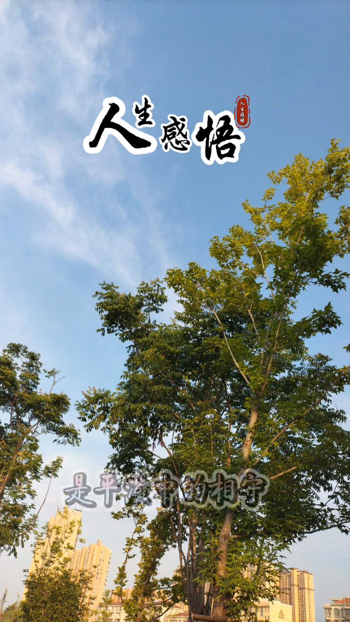 人生感悟。
人间最真的情感是平淡中的相守，不管在身边还是心里都是一份生命里最珍贵