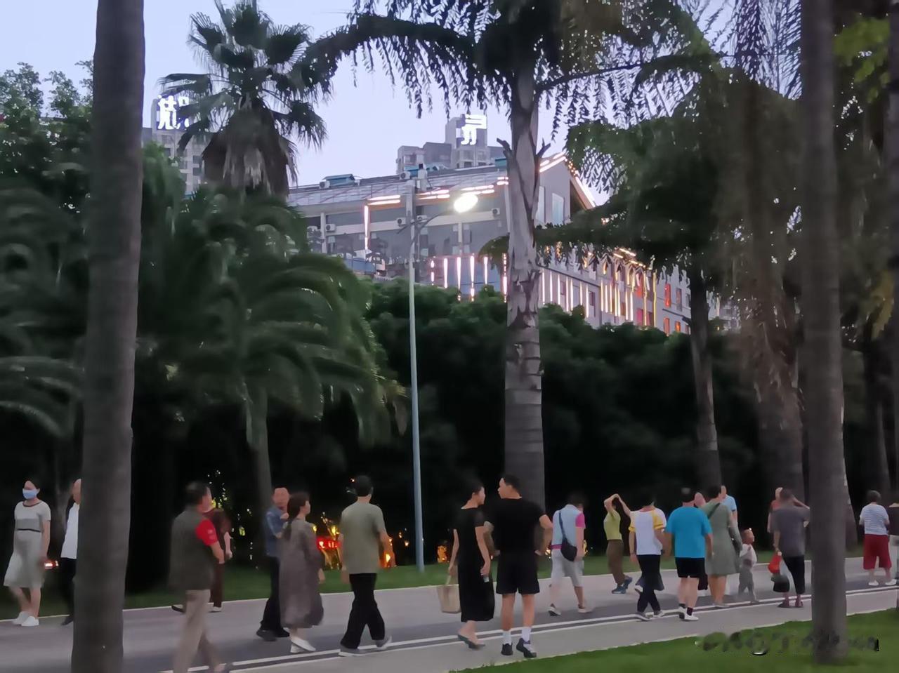 晒图笔记大赛这炎夏是一场盛大的光合作用，愿你也能吸收光热，转化为生命里蓬勃生长的