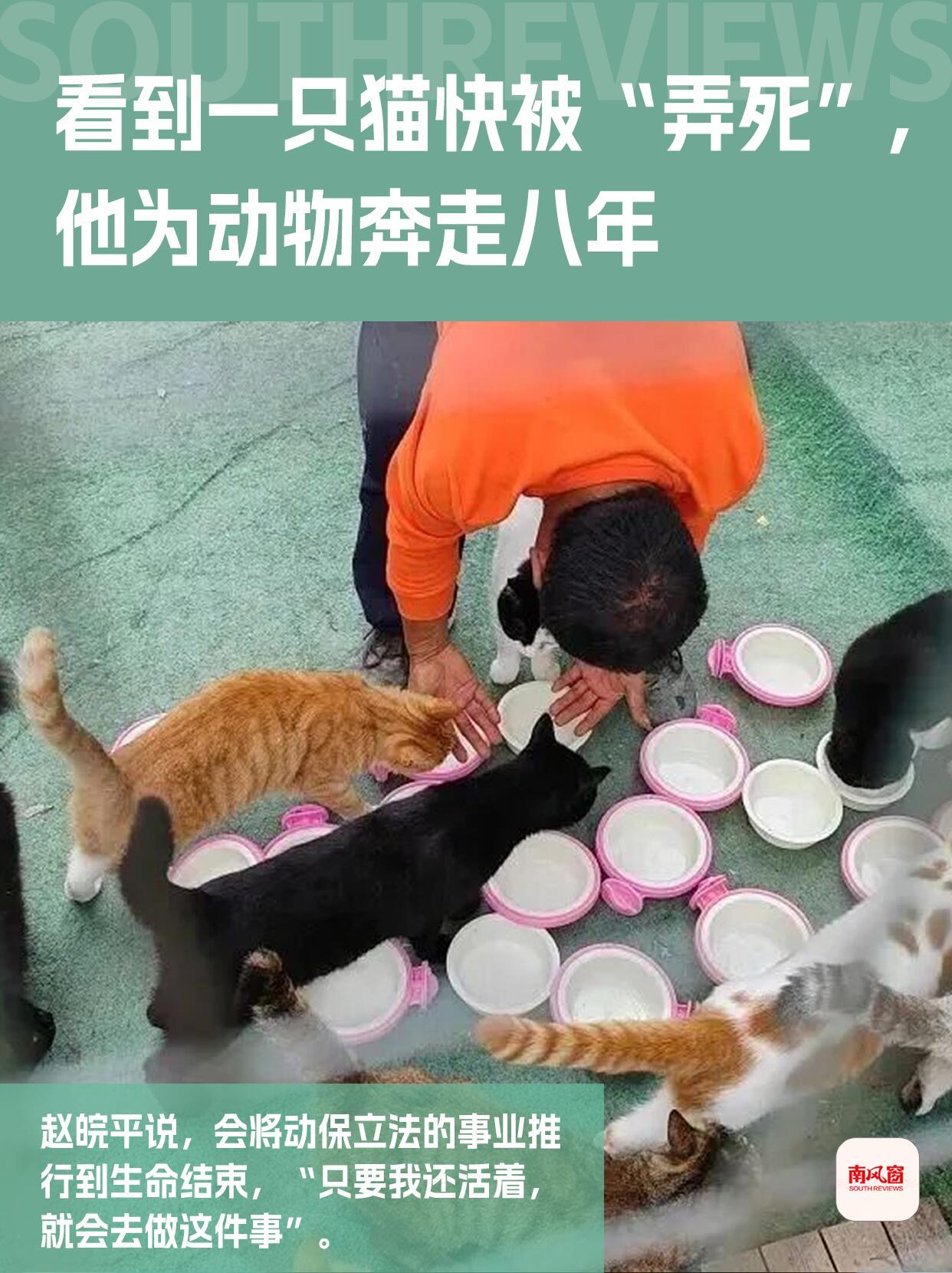 今年夏天，一份关于给宠物立法的议案在网上传开了。提这个案子的赵皖平代表，已经为这