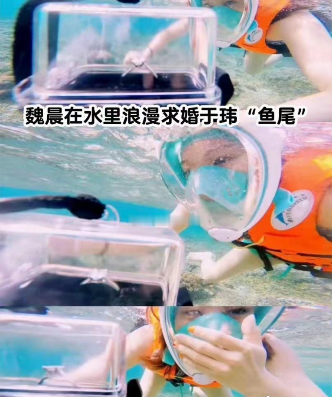 魏晨这段求婚趣事也太搞笑了！为了给老婆惊喜，他特意提前考了潜水证，精心策划水下求
