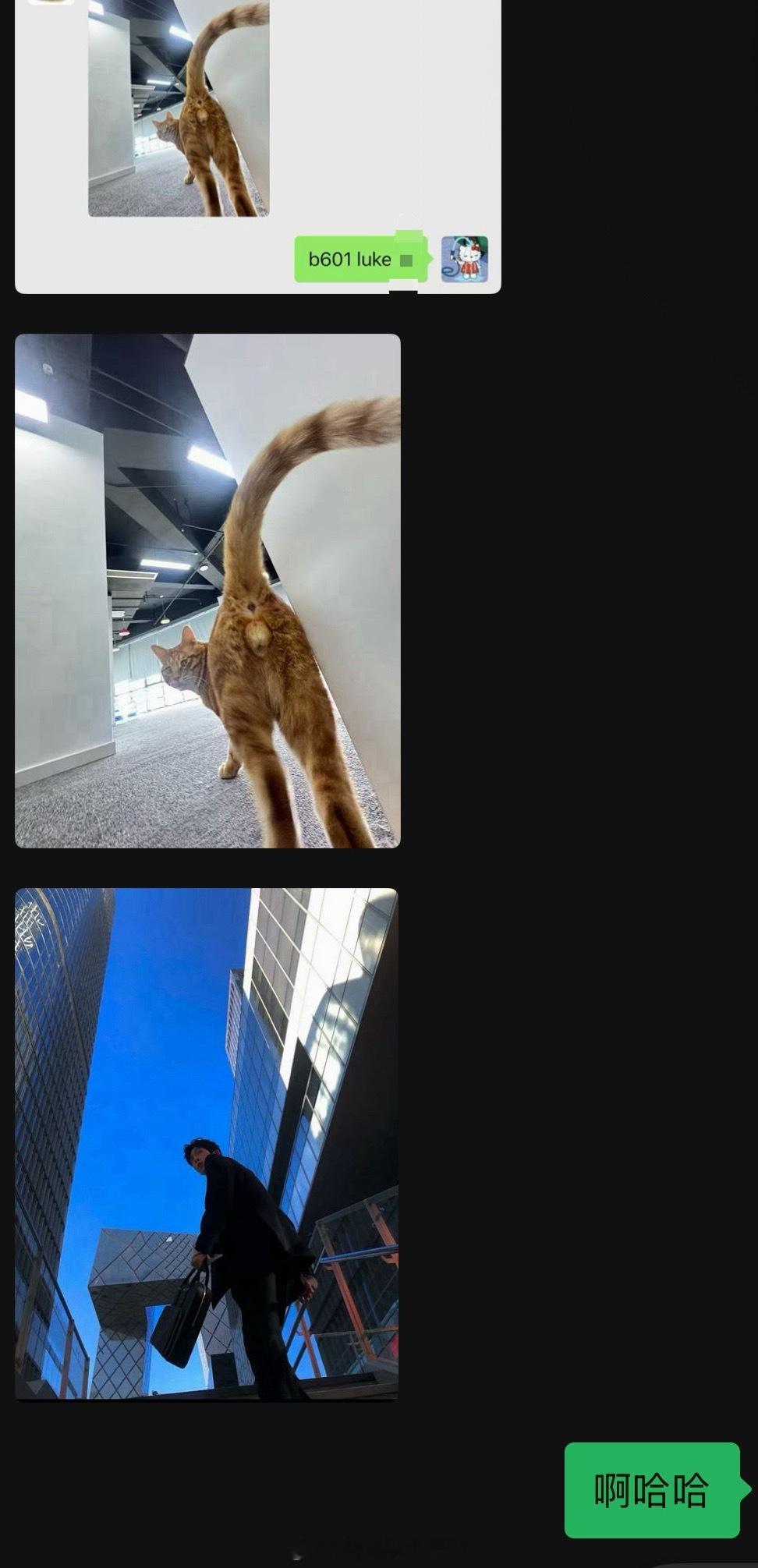 哈哈哈哈怎么那么好笑 上班又追剧的人真的很容易不正常[笑cry] ​​​