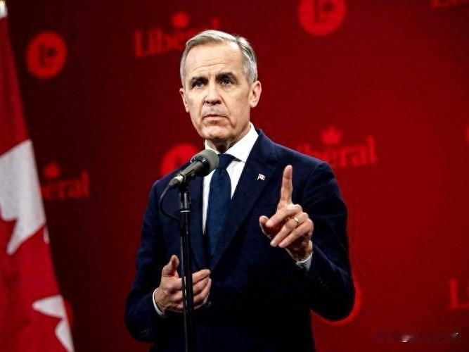 加拿大宣布电动汽车新战略与中国合作，
试图将自己打造成该领域的全球领导者之一。