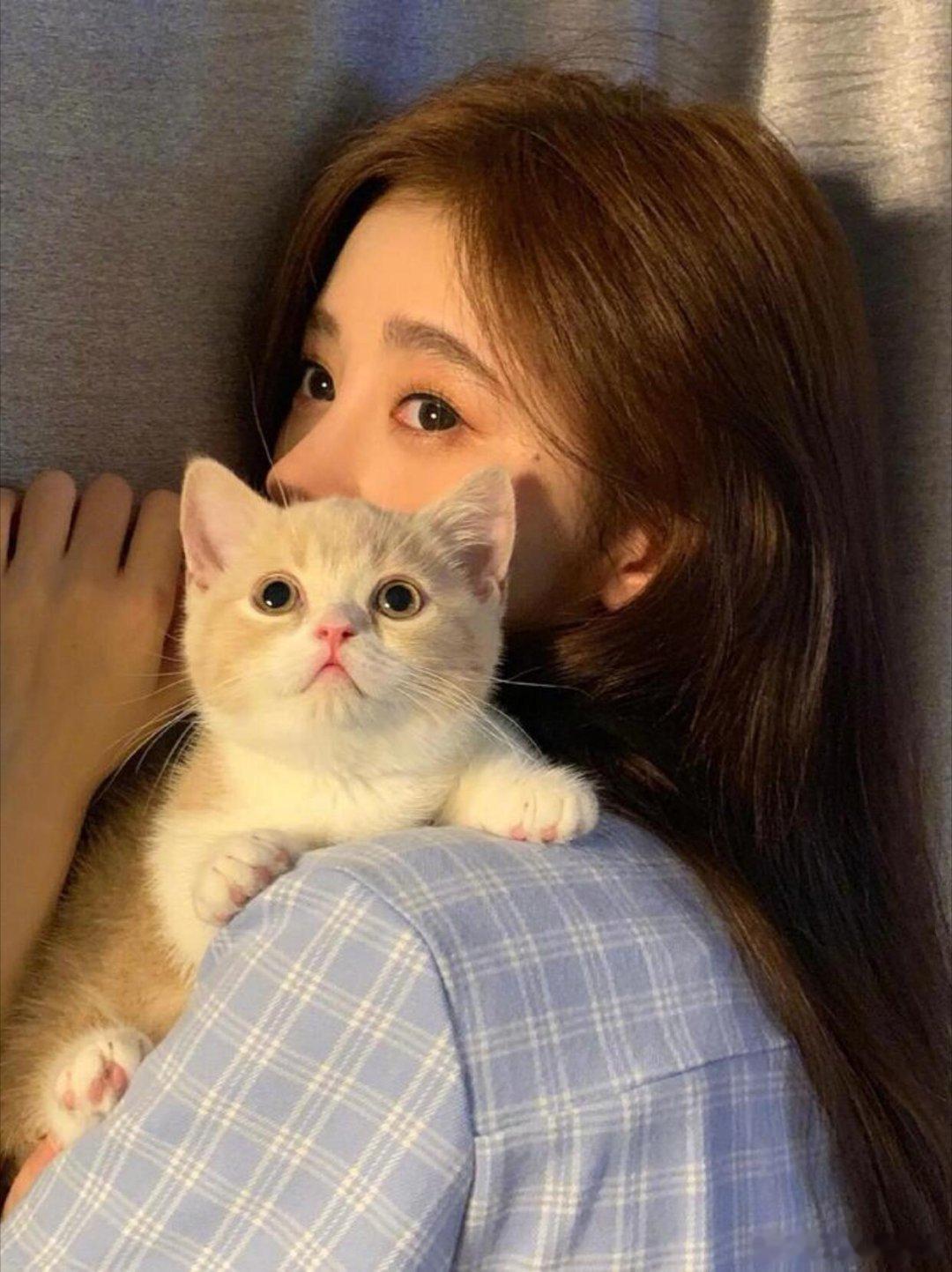 鞠婧祎鞠婧祎的猫也有番位 嘻嘻、哈哈、贝贝三只小猫被鞠婧祎照顾得白白胖胖，嘻嘻和