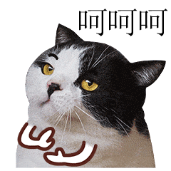 局长收370元礼品被免职这故事有点像，交警不去管机动车违停堵路，而是去管骑自行车