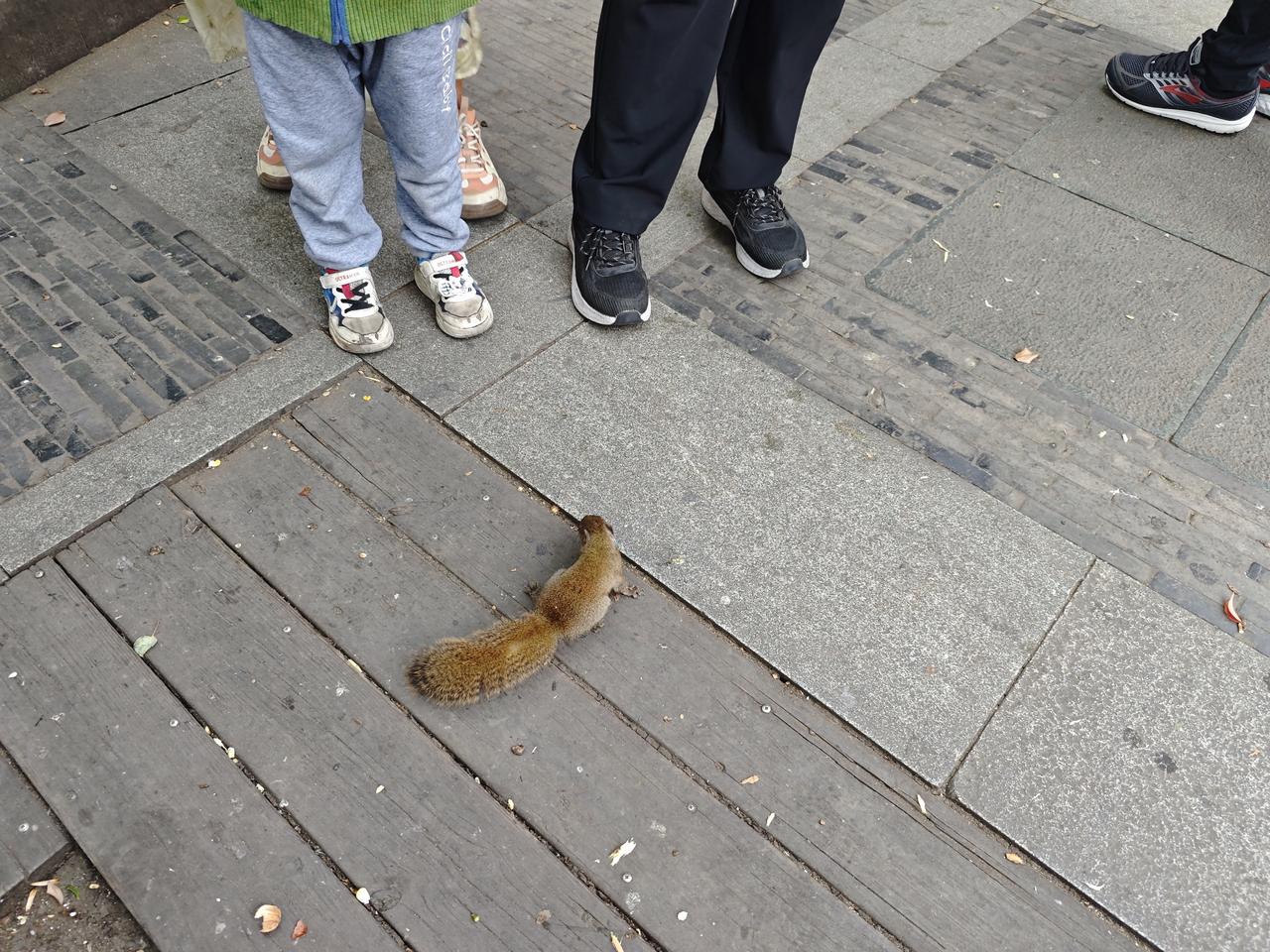 家长对于孩子玩手机不爱学习可以定期和孩子一起回顾手机使用规则的执行情况，对孩子的