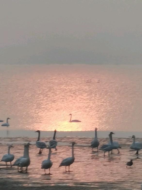 荣城之旅4——车祝沟日出。到荣成的两个早晨，我们都跟着摄影团来到了车祝沟。

车
