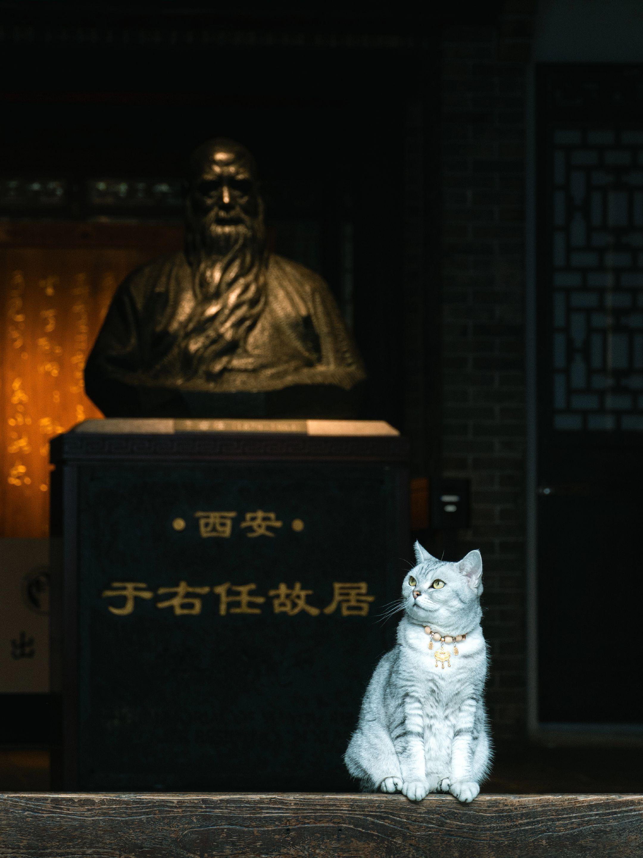 镇宅兽 