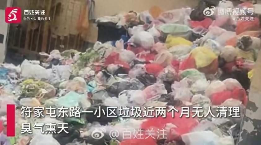 洛阳一小区垃圾堆积两月无人清 社区：每月 10 元垃圾清运费收缴困难 正协调处置