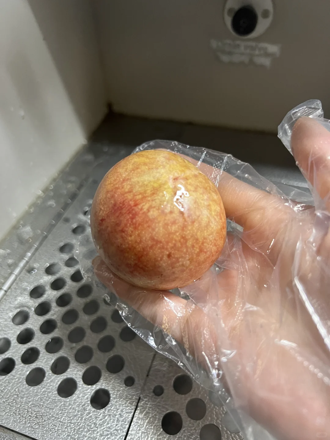 除了我的旅客，还有谁吃过？