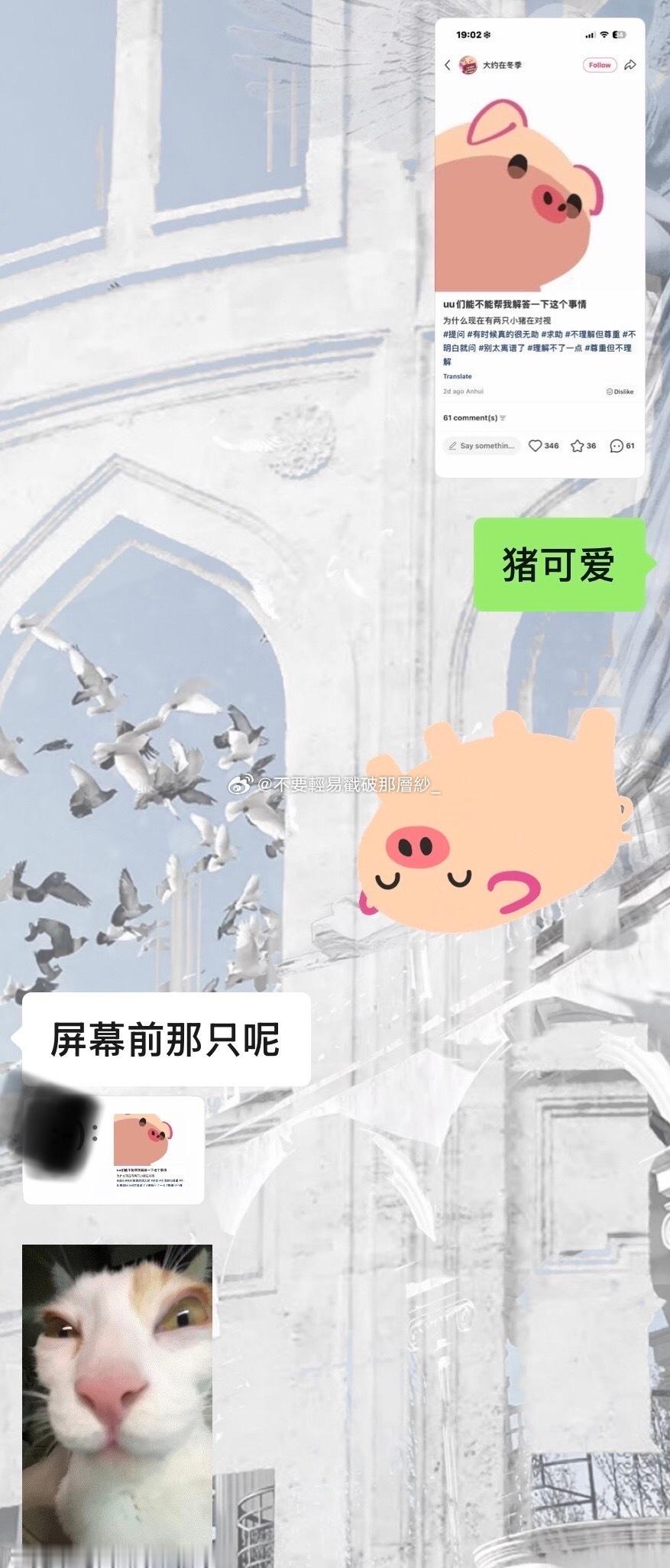 21804【】xxg你什么意思🥺… 