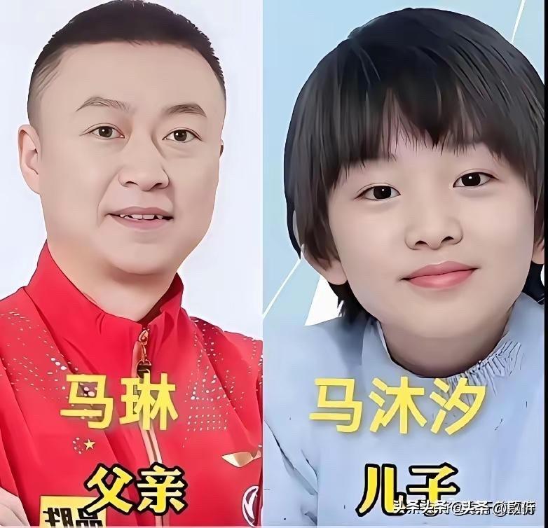 国乒星二代

王皓当年打球那会儿，人称“千年老二”，三次奥运会亚军，搁谁心里都不