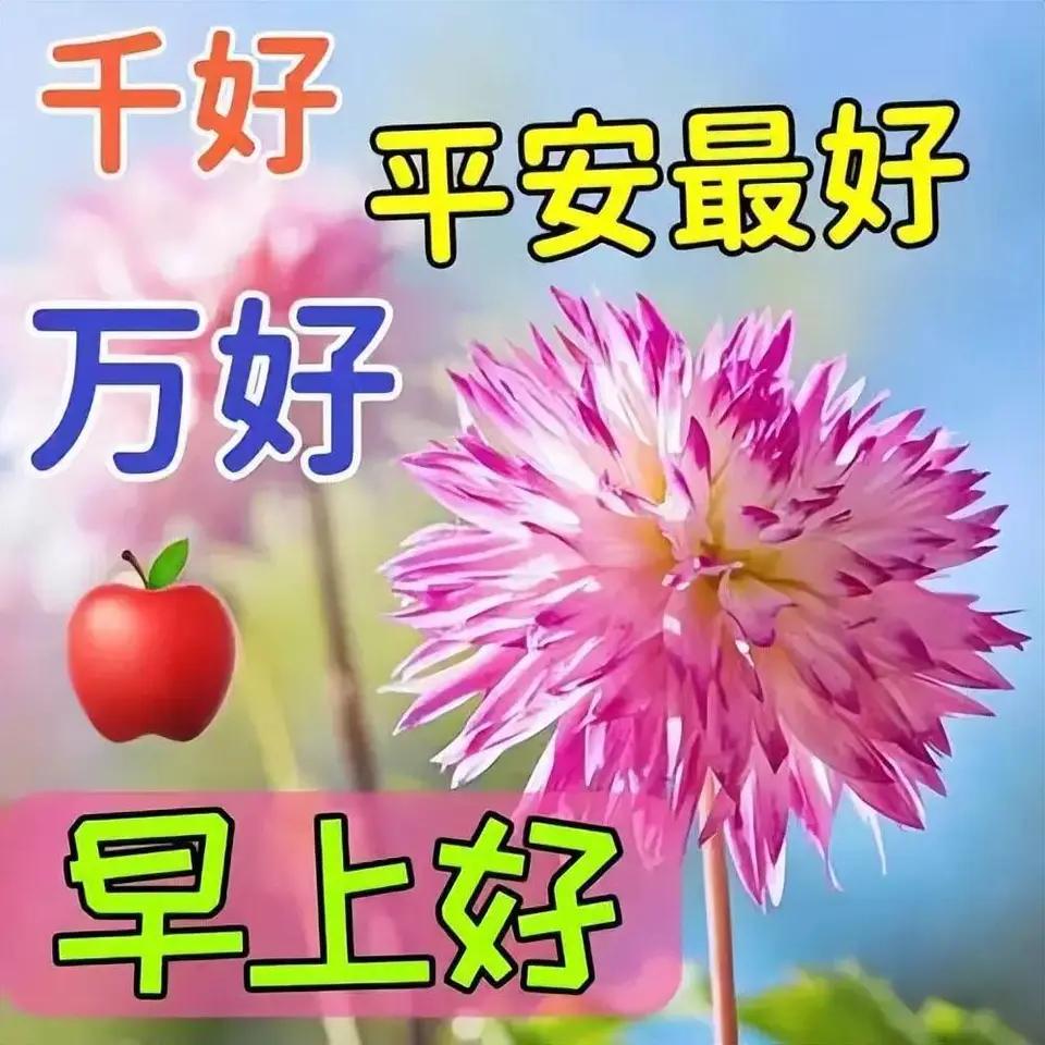 [玫瑰]早上好[玫瑰]
☀️晨风吹醒小窗明，
一路欢声伴晓晴。
送上一声早安好，