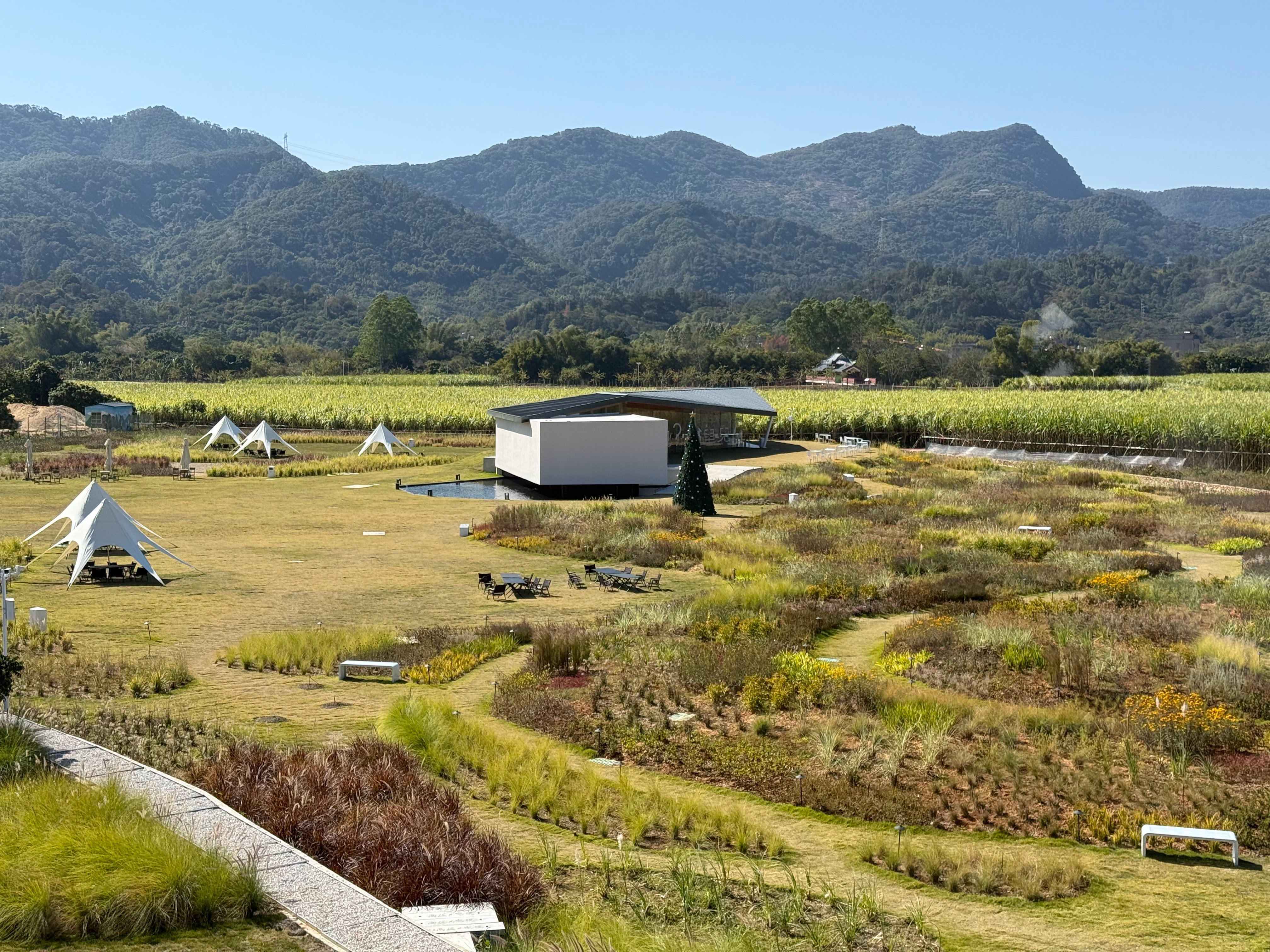 拍了一天，还好天气美得不像话！ 