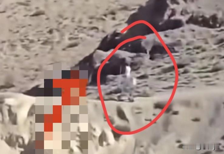 12月1日，有博主发布视频称，“印度人疑拍到我国机器人站岗”登上热搜，该博主表示