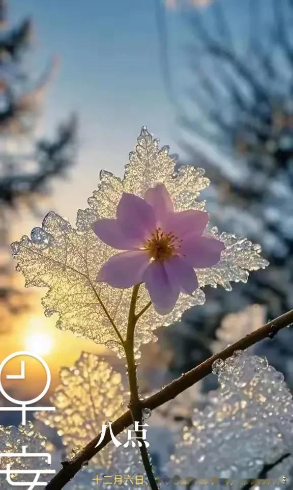 今日大雪节气，早安吉祥！