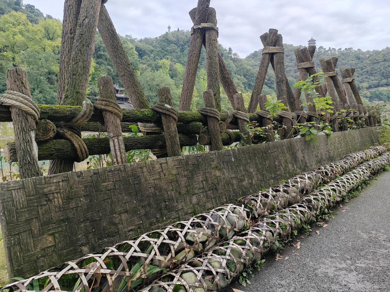 冬日生活打卡季