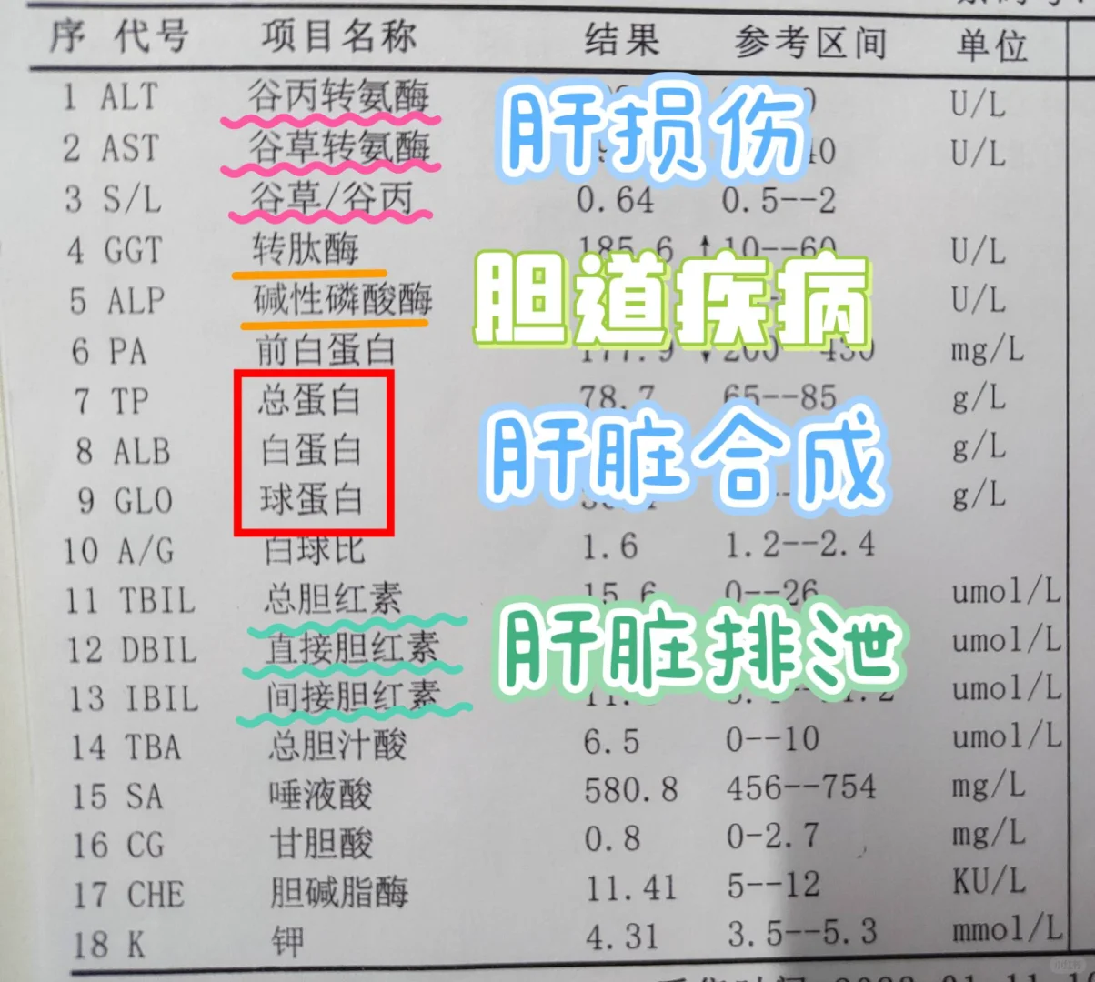 肝功能怎么看？ 