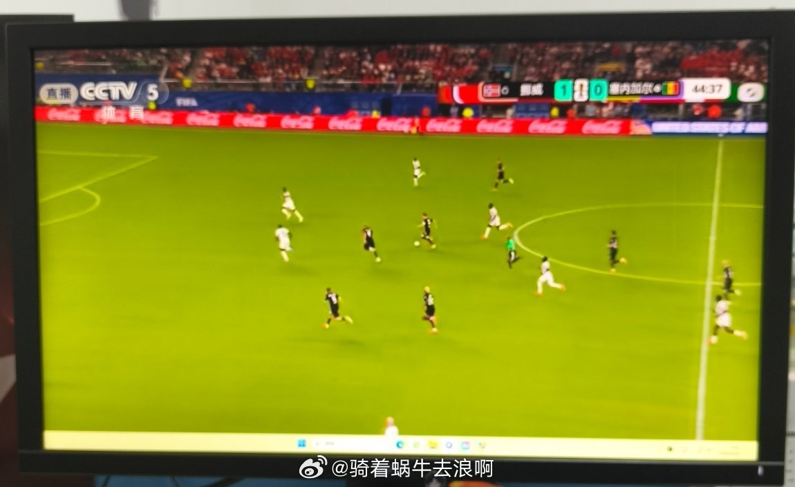 分享图片 
