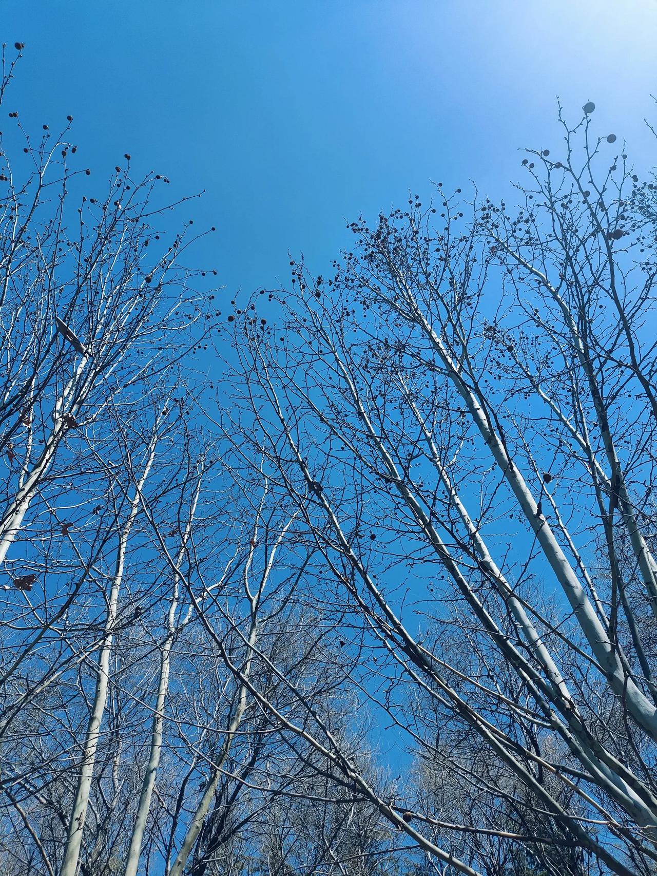 如果老师一辈子不评职称会怎么样？
先说答案，会很爽。
其实老师这个群体是很有上进