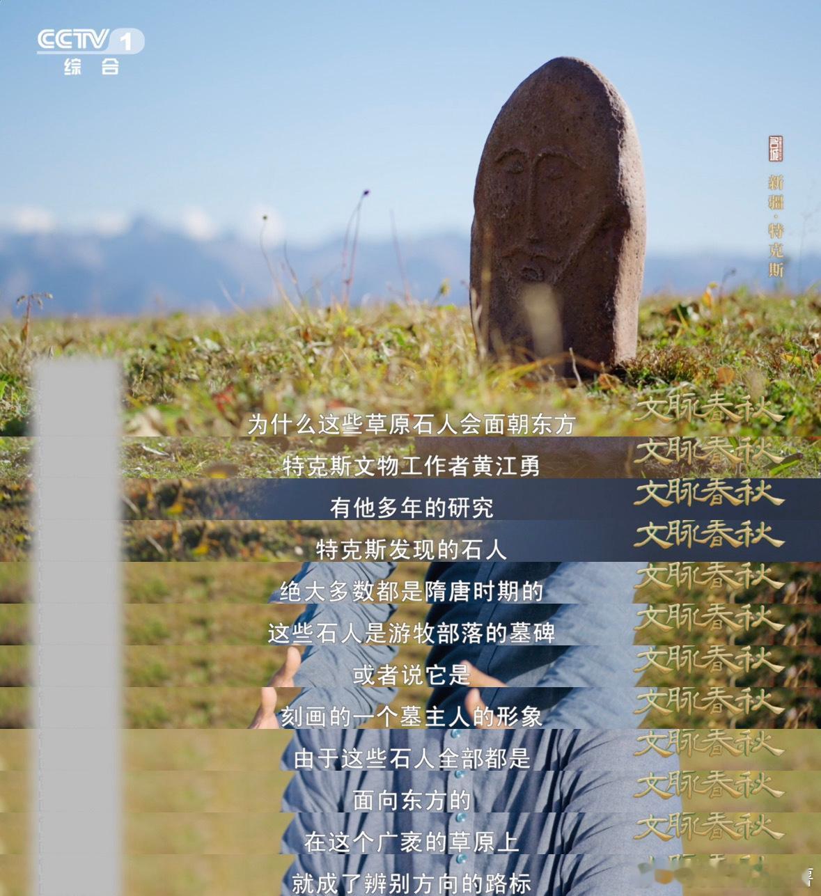 草原上遍地表情包这群石人曾是草原上的导航专家推测它们可能古代游牧部落的墓碑，各种