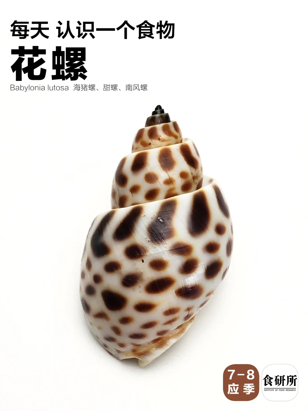 花螺哪里不能吃？