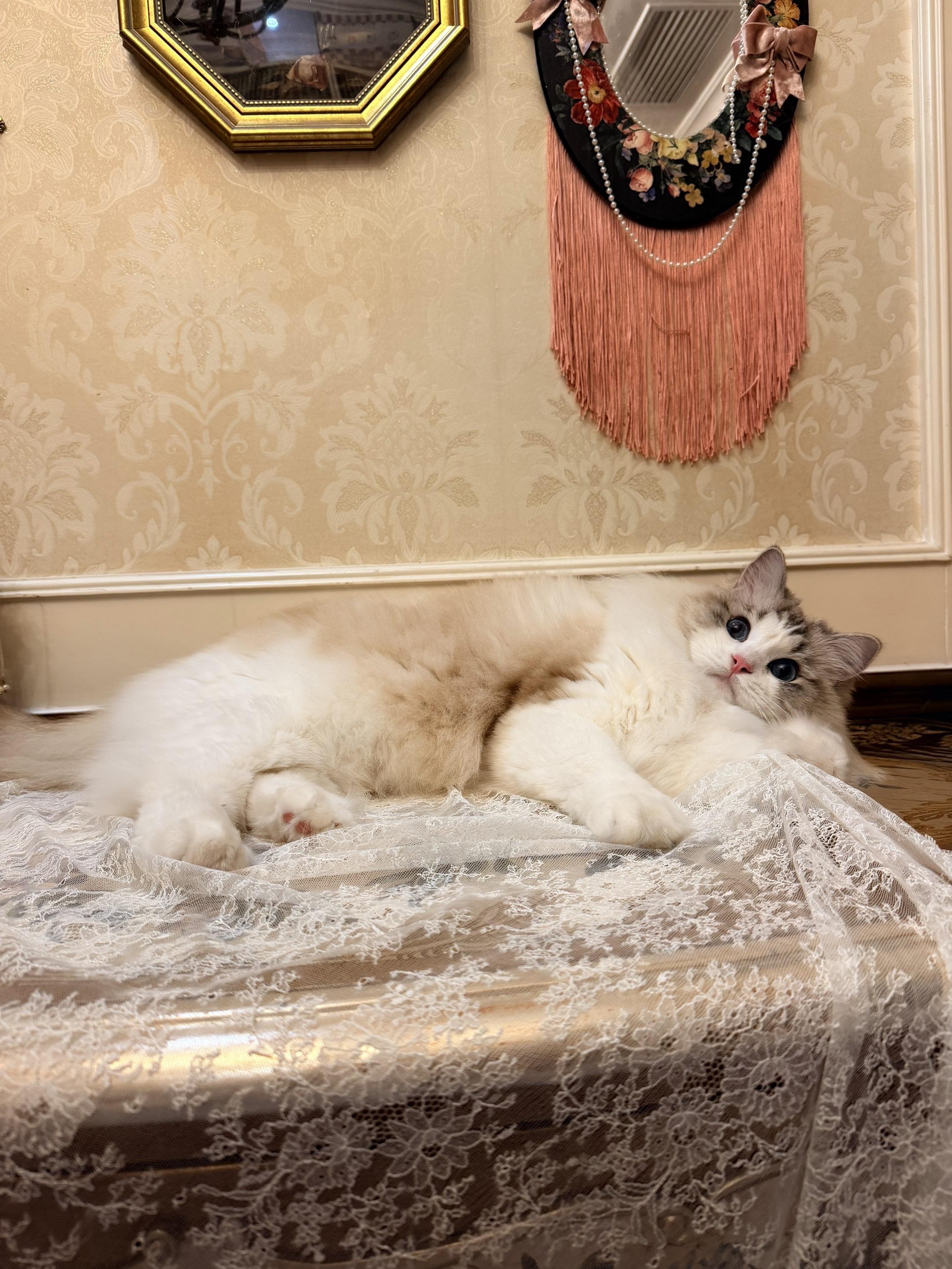 谁能看出来她已经四岁多了