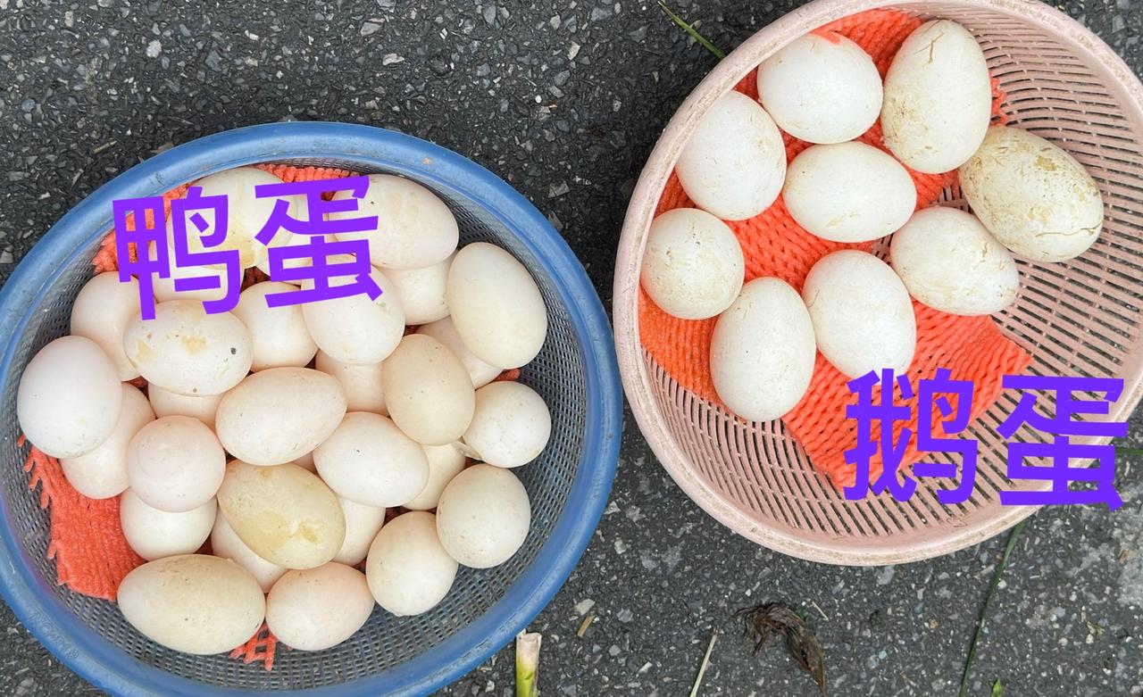 明天是端午节，本地习俗端午节的早晨不仅要吃粽子，还要吃煮鸡蛋和煮大蒜。

今天在