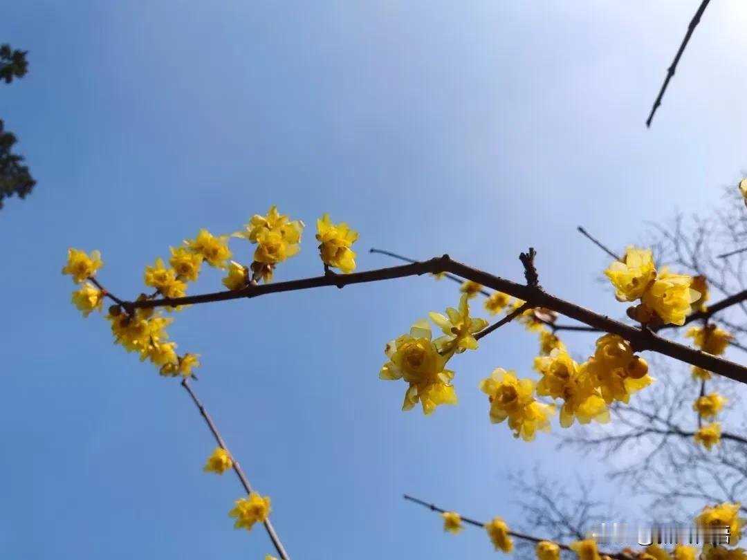 我堕落了！[捂脸]

我发现我堕落了。自从老家返回之后，到今天已经是第三天了，我