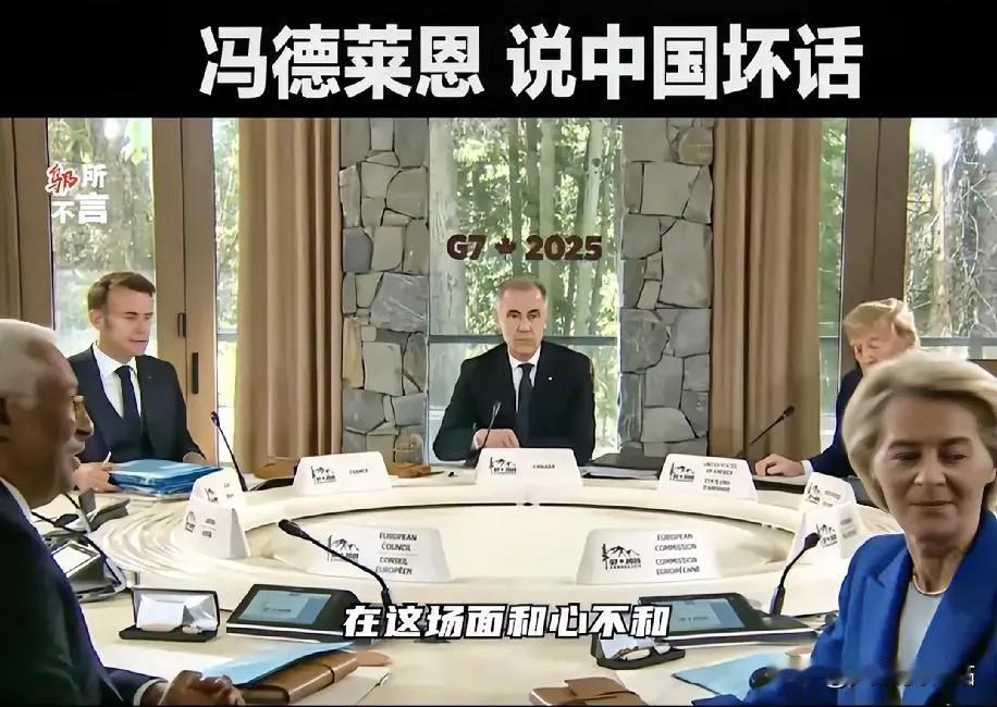 现在看来，没有什么中欧关系。16日冯德莱恩去加拿大开会，带着一个中国稀土磁铁材料